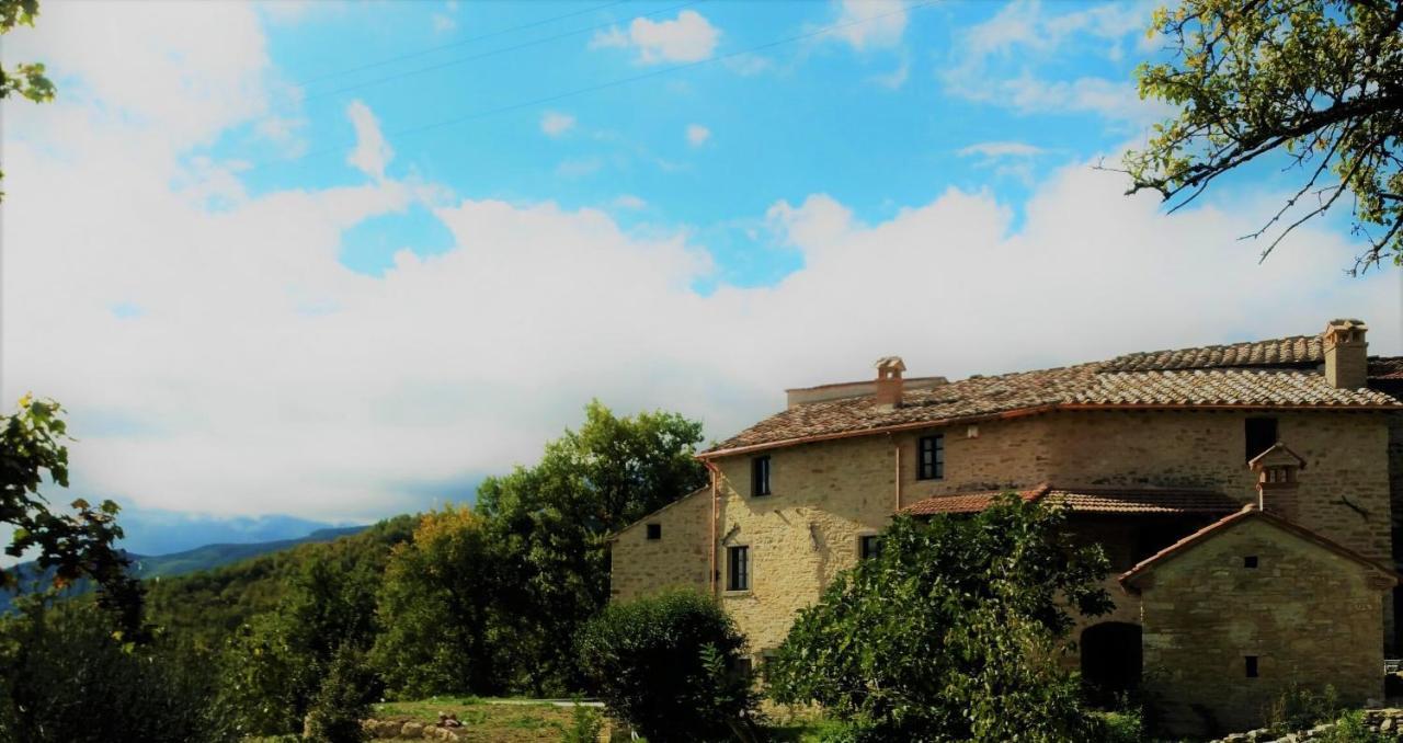 Villa Il Buongiorno Caprese Michelangelo Exterior photo